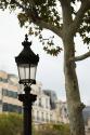 Parisian Lightposts II