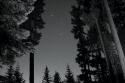 BW Starry Night I