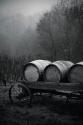 BW Oregon Wine Country II