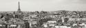 Paris Rooftops VIII Panel