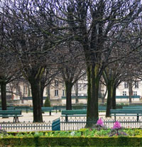 Jardin de Notre Dame I