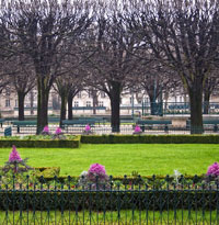 Jardin de Notre Dame II