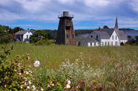 Village Meadow I