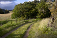 In the Country II