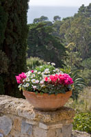 Italian Garden I