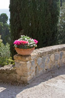 Italian Garden II