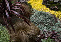 Garden Glimpse IV