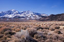 Eastern Sierra I