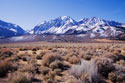 Eastern Sierra II
