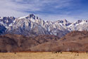 Mt. Whitney Range I