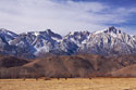 Mt. Whitney Range II