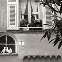 Provincial Window I