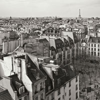 Paris Rooftops IX