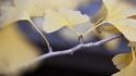 Autumn Gingko I