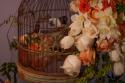 Flowers & Bird Cage II