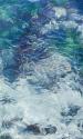 Tide Pool II