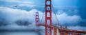 Golden Gate Bridge II
