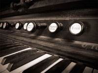 Organ II