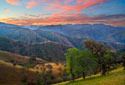 Pastel in Nature II