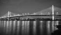 Tilikum Crossing BW