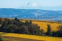 Dundee Hills I