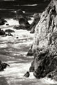 Garrapata Highlands 7 BW