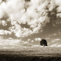 Cloudy Skies Sq I