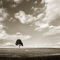 Cloudy Skies Sq III