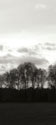 Winter Sunset BW III