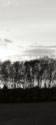 Winter Sunset BW IV