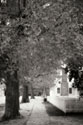 Small Town Autumn III