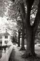 Small Town Autumn IV