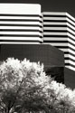 Geometric III