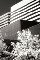 Geometric IV