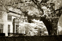 Tudor Mansion I