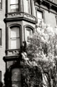 Main Street Elegance II