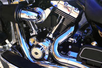 Black Beauty I