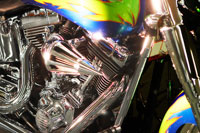 Wild Ride I