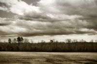 Winter Fields III
