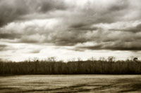 Winter Fields IV