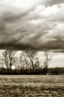 Winter Fields VI