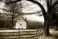 Gaines Mill II