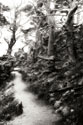 North Point Pathway I
