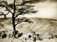 Lone Pine II