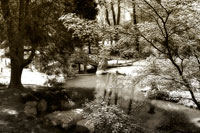 Garden Bridge I