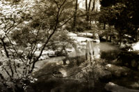 Garden Bridge II