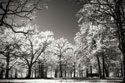Bright Spring Day I