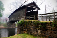 Humpback Bridge II