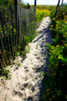 To the Beach I
