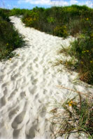 To the Beach II